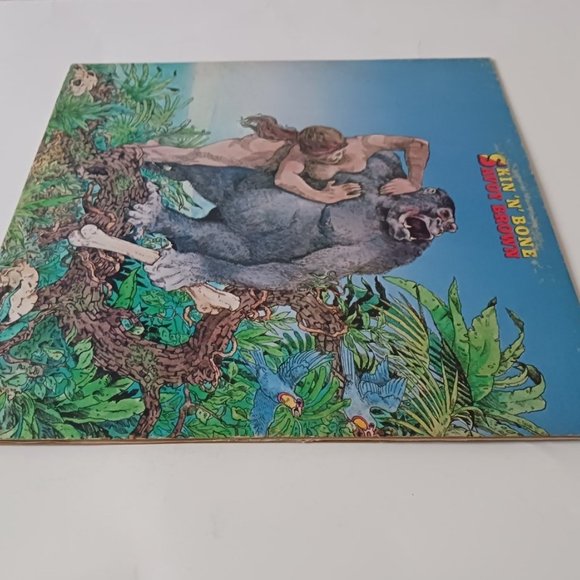 Vintage Savoy Brown Skin 'N' Bone vinyl record, 1976 first pressing, original - Picture 6 of 10